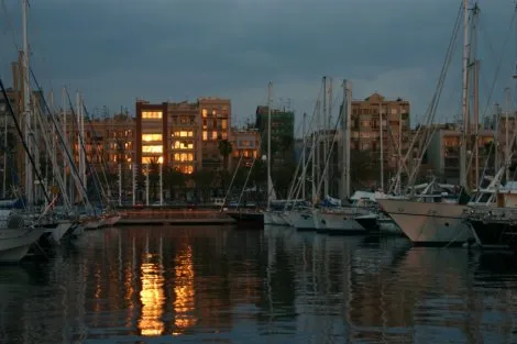 Boats in the marina...